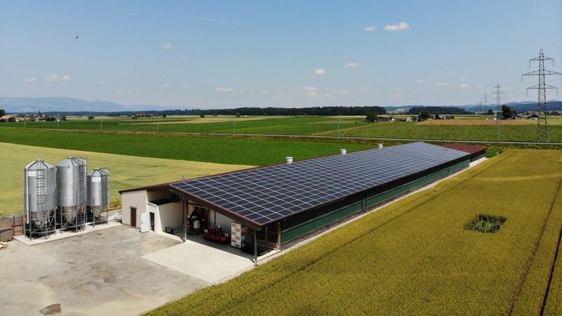 Langgezogenes Stallgebäude mit Solaranlage, daneben Futtersilos